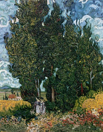 Os ciprestes, c.1889-90 de Vincent van Gogh